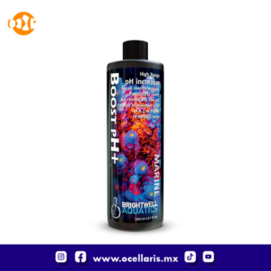 Boost pH+ - 500 ml