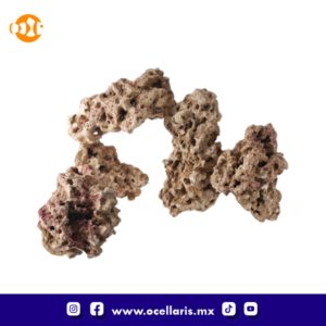 CaribSea Moani Dry Live Rock - 40 Lbs