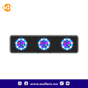 Thor Pro G4 - Marine