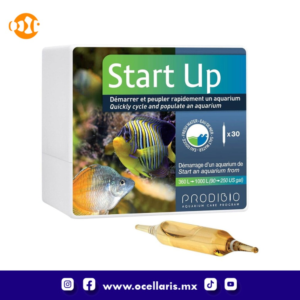 Start Up - Bacteria - 30 ampolletas