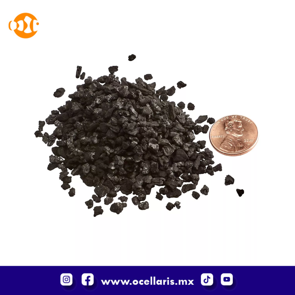 Carbón Bituminous para Acuarios a granel - 64 oz (1.5 lb) - Image 2