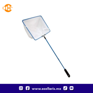 JBJ Red fina con mango plástico - 8 plg