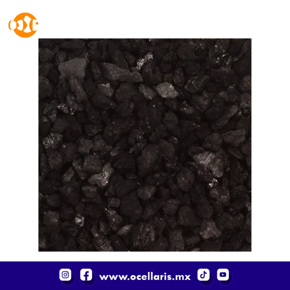 Carbón Bituminous para Acuarios a granel - 64 oz (1.5 lb) - Image 3