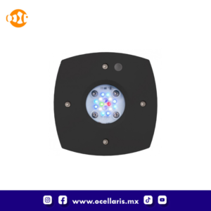 AI Prime 16 HD LED - Módulo Negro