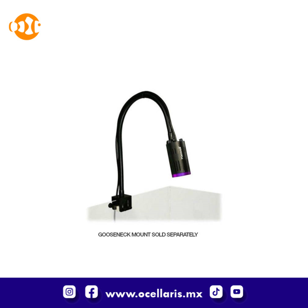 Kessil H160 - Lámpara LED para Refugio de Algas - Image 3