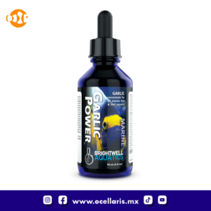 Garlic Power - Suplemento de Ajo - 60ml