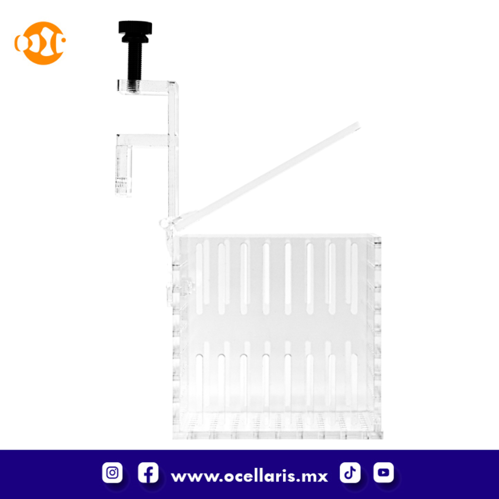 Caja de aclimatación 1 compartimento - Image 8