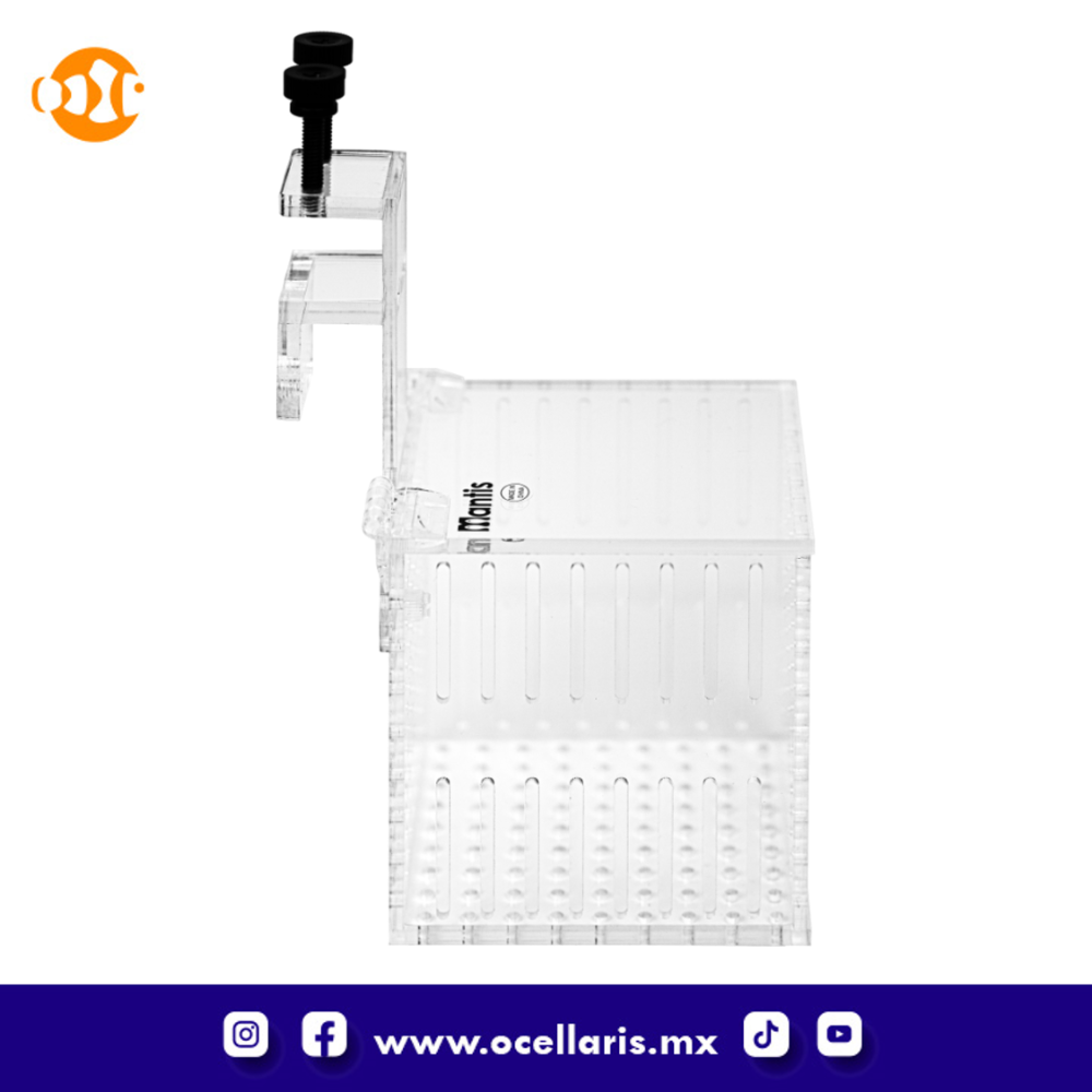 Caja de aclimatación 1 compartimento