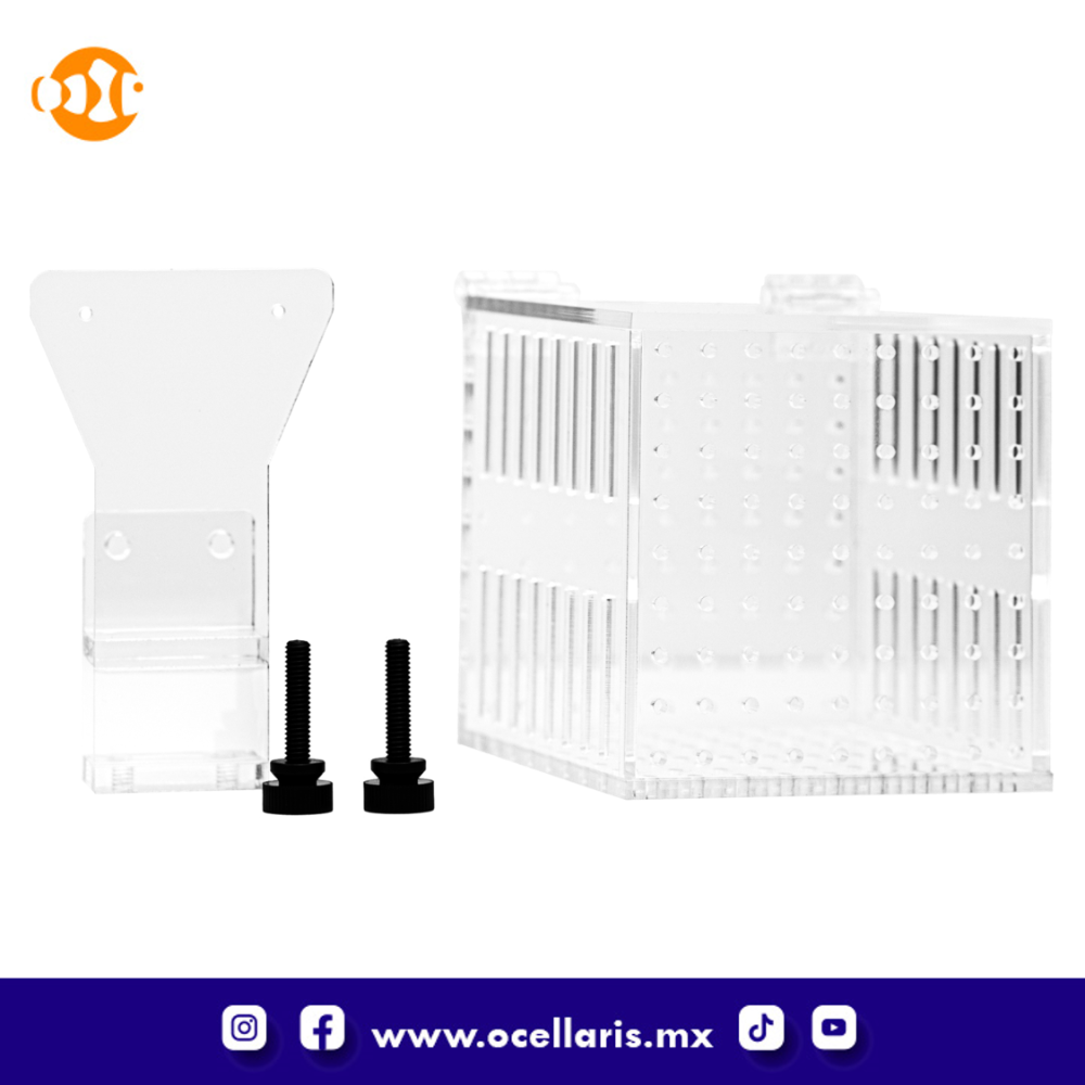 Caja de aclimatación 1 compartimento - Image 2