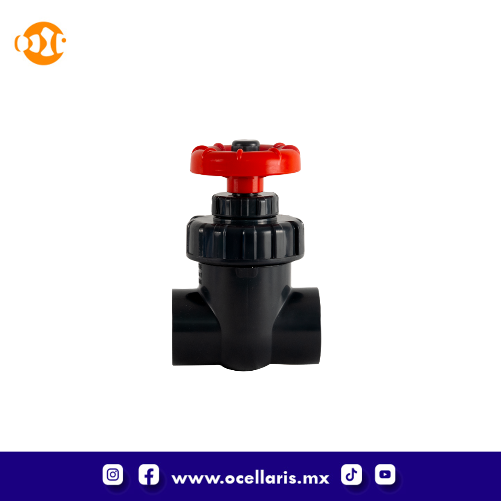 Válvula de compuerta cedula 80 - Liso x Liso - 40mm - Image 2