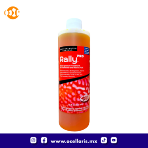 Ruby Reef Rally Pro - 16 oz