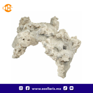 South Seas Arches - 20 Lbs 4 pzas 12 pulg