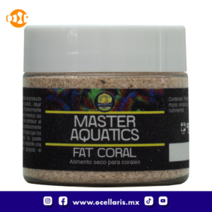 Fat Coral - 100 g