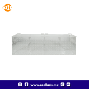 Caja de aclimatación con 4 compartimentos