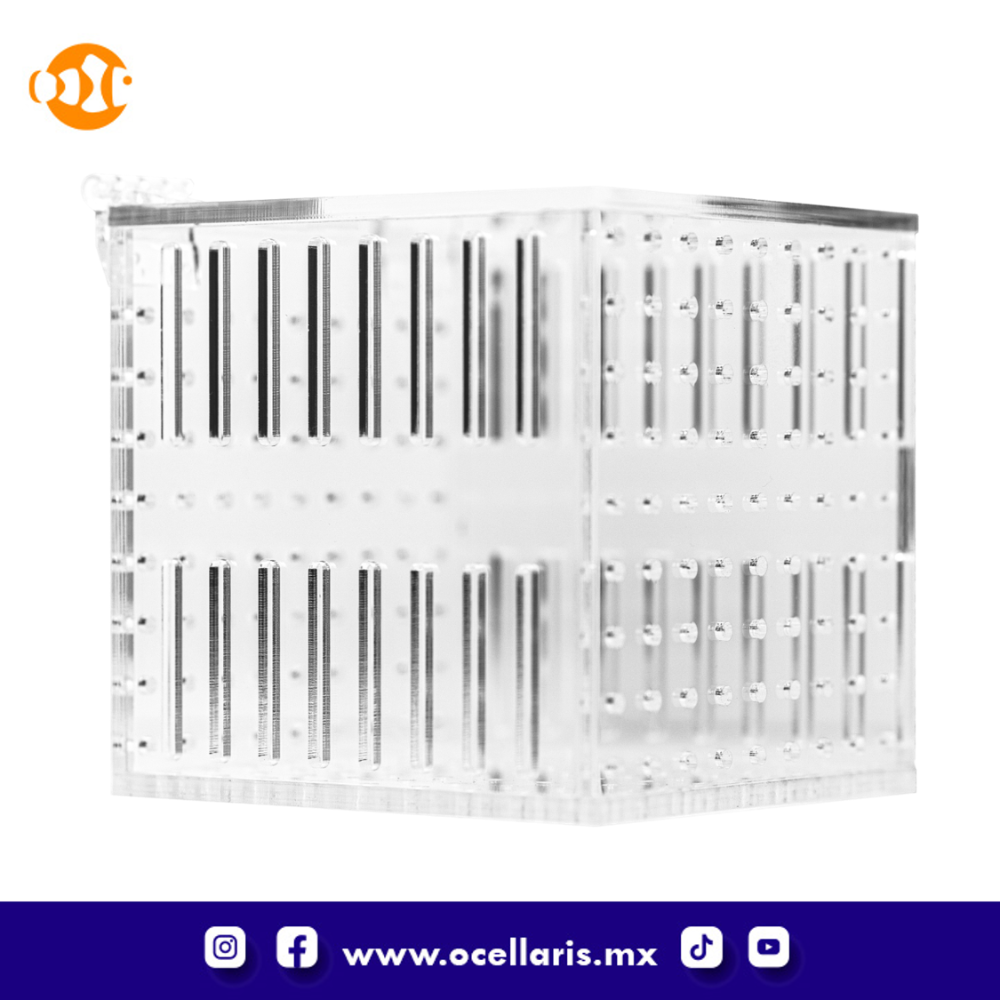 Caja de aclimatación 1 compartimento - Image 5