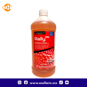 Ruby Reef Rally Pro - 32 oz