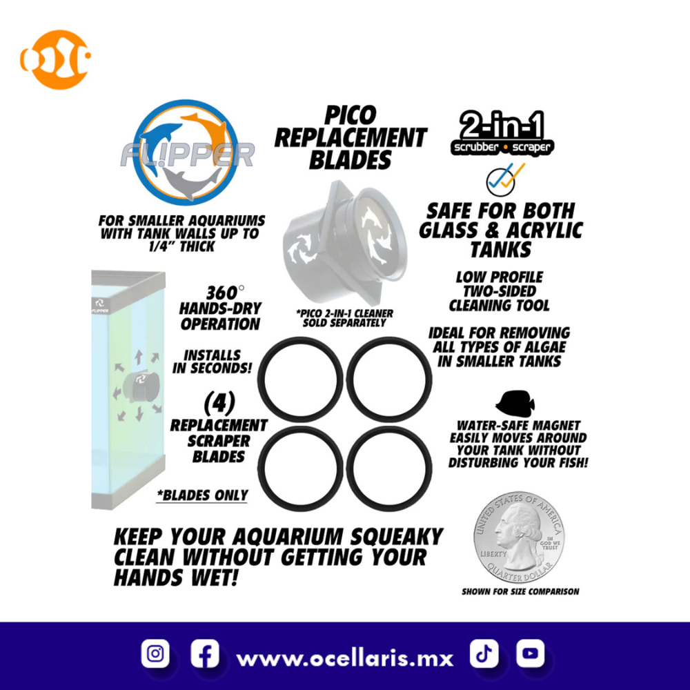 Cuchillas de Repuesto para Flipper Pico - 4 pzas - Image 7