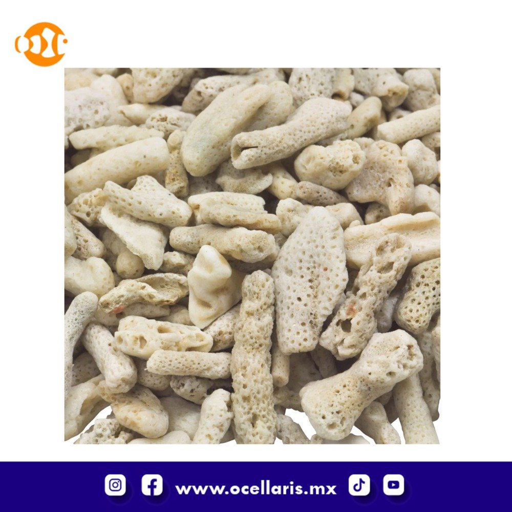 ReBorn Calcium Reactor Media - 4 kg - Image 2