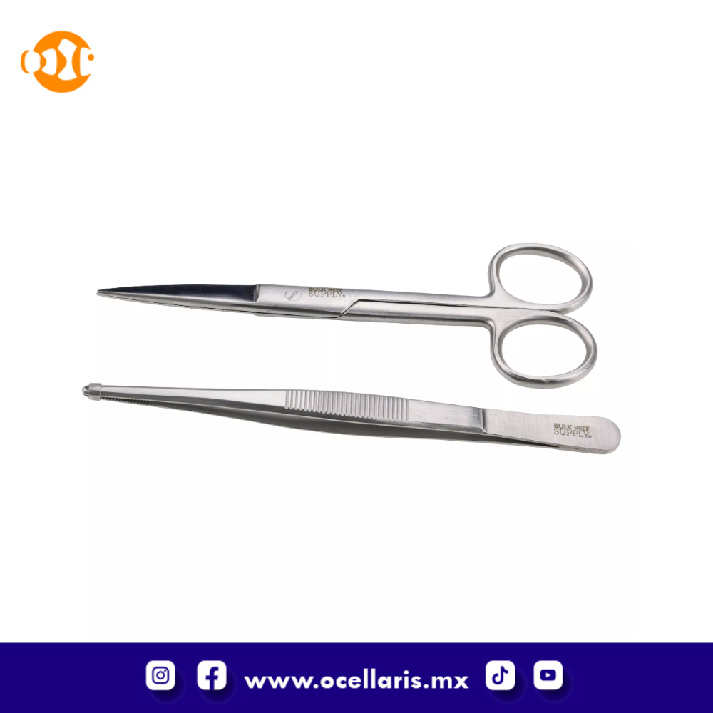 BRS Kit de Fragmentación de Coral (Estandar) - Image 7