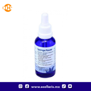 Sponge Power Concentrado - 100 ml