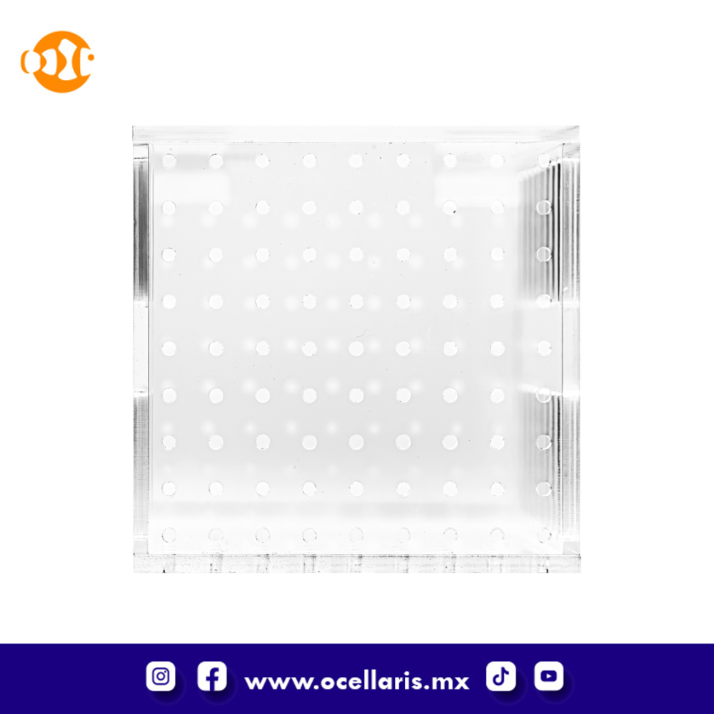 Caja de aclimatación 1 compartimento - Image 6