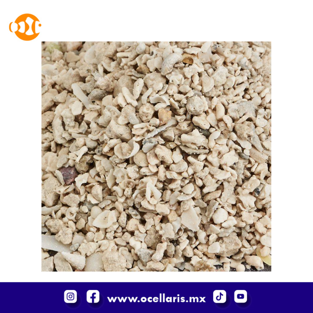 Florida Crushed Coral - Sustrato de Aragonita seca - 40 lb - Image 2