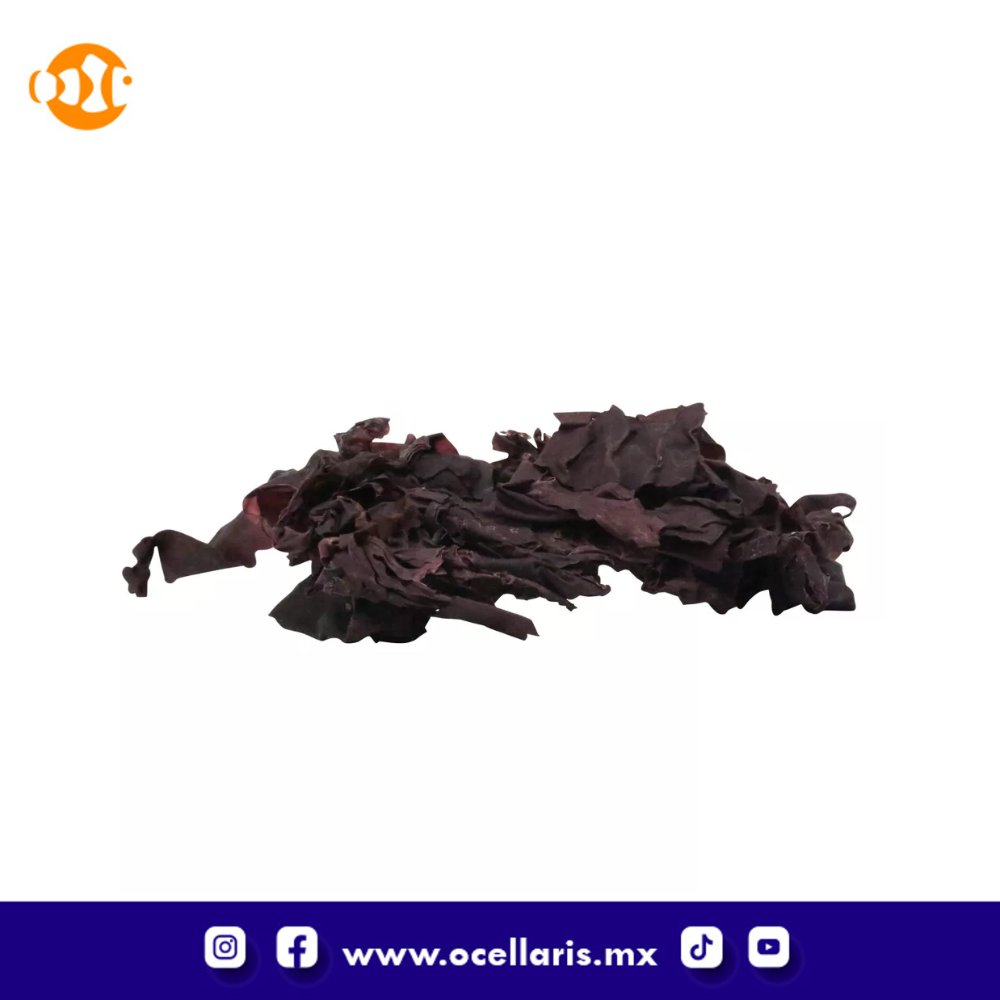 Red Sea Veggies - Hojas de Alga Marina Roja - 30 g - Image 2
