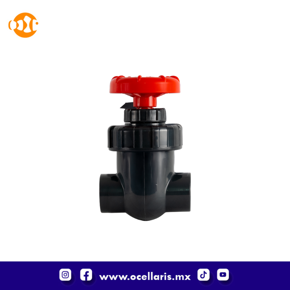 Válvula de compuerta cedula 80 - Liso x Liso - 25mm - Image 2