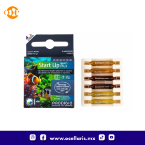 Start Up Nano Plus - Bacteria - 6 ampolletas