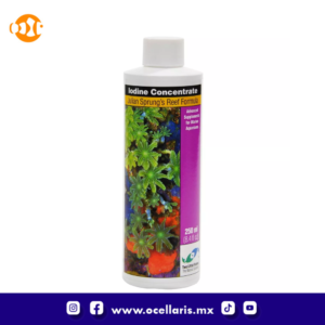 Iodine Concentrate - 250ml