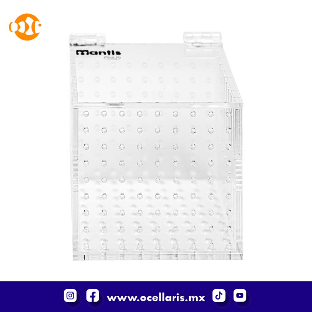 Caja de aclimatación 1 compartimento - Image 3