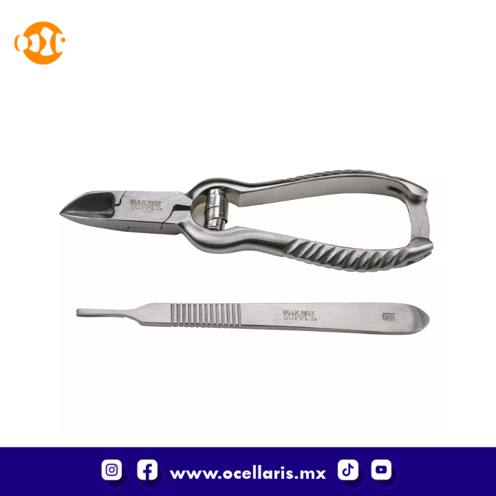 BRS Kit de Fragmentación de Coral (Estandar) - Image 6