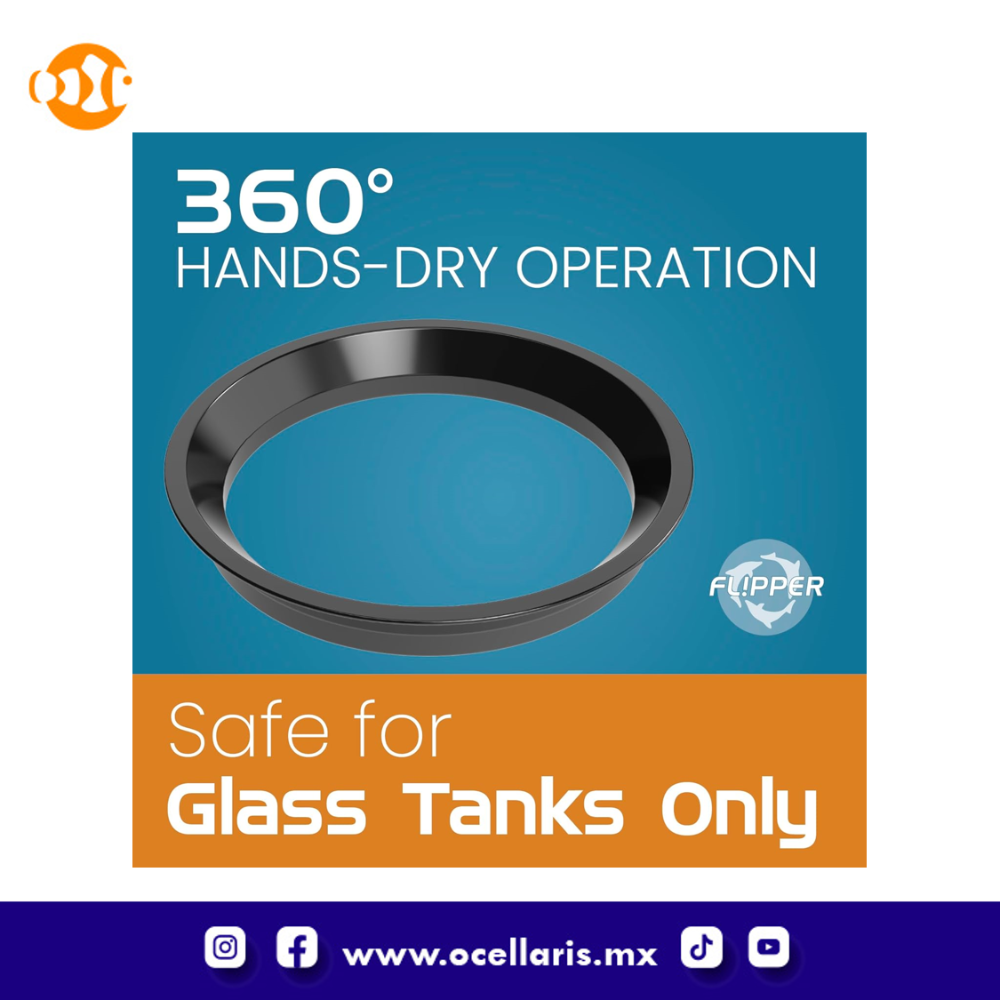 Cuchillas de Repuesto para Flipper Pico - 4 pzas - Image 2