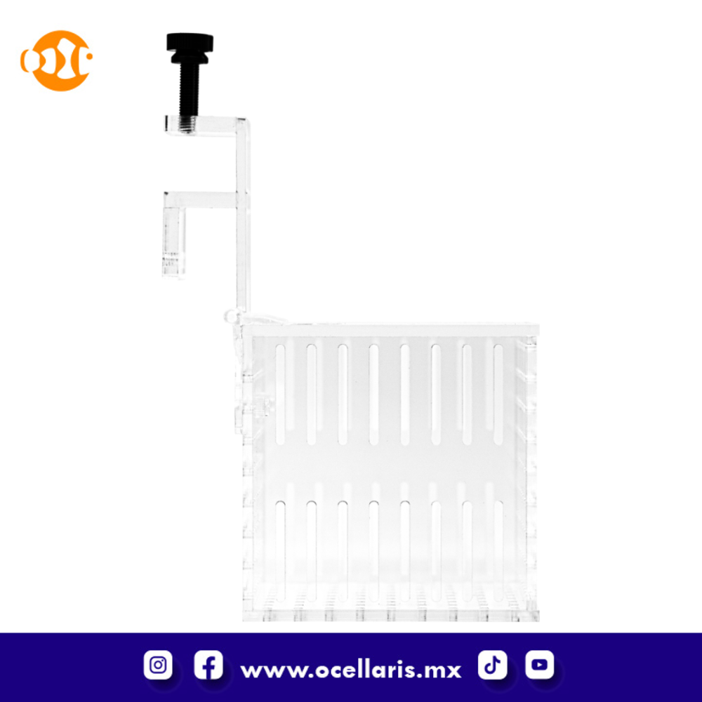 Caja de aclimatación 1 compartimento - Image 7