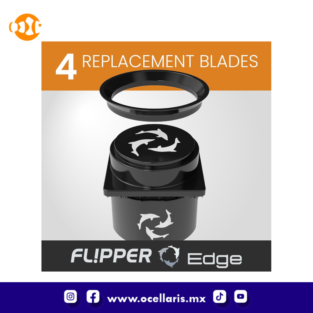 Cuchillas de Repuesto para Flipper Pico - 4 pzas - Image 4