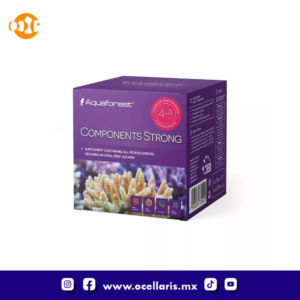 AF Components Strong - 4 piezas de 75ml