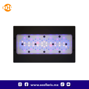Ecotech Marine Radion XR30 G6 Blue LED Light