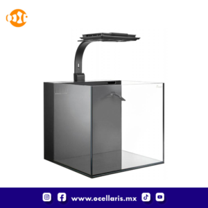 Acuario Dice AIO Nano Cube con Lámpara LED – 12 Gal