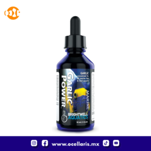 Garlic Power - Suplemento de Ajo - 30ml