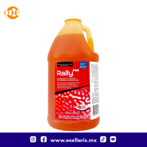 Ruby Reef Rally Pro - 64 oz