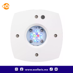 AI Prime 16 HD LED - Módulo Blanco