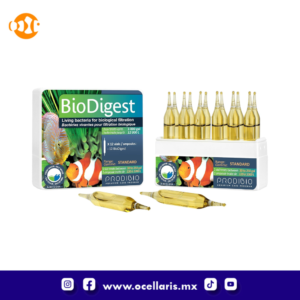 BioDigest - Bacteria - 12 ampolletas